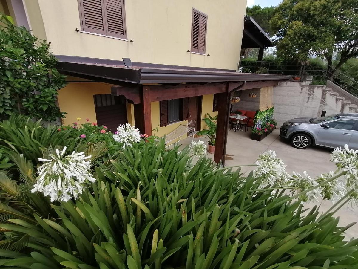 Apartment Materdomini